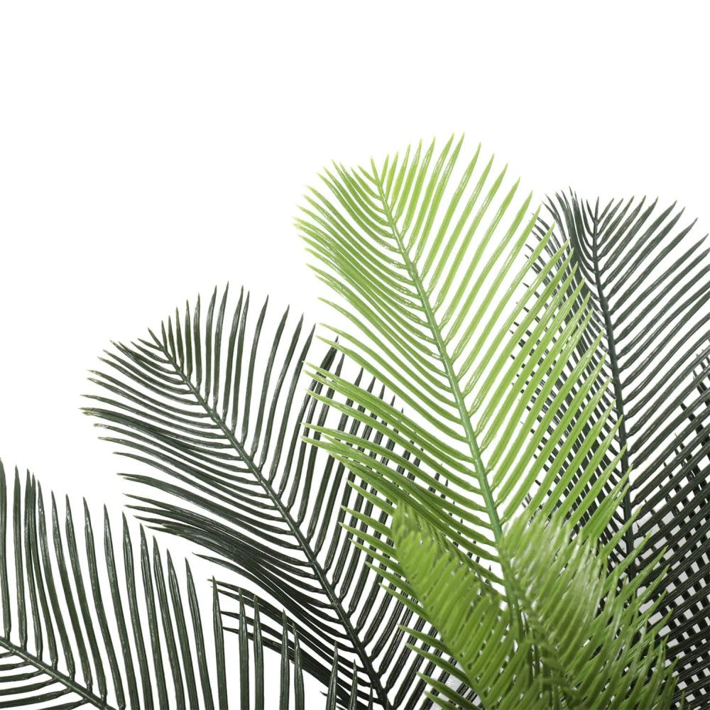 Cycas UV Resistant Palm Tree 105cms