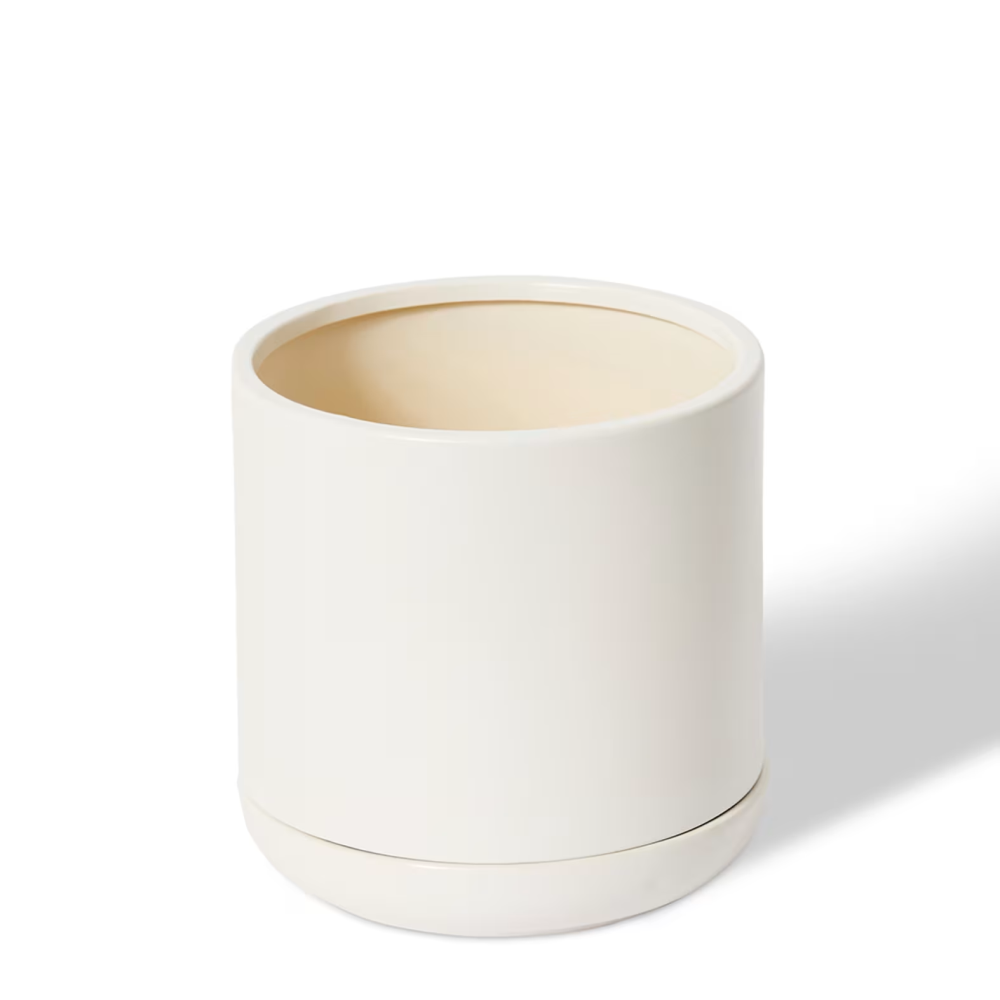 Decorative Angu Plant Pot with Tray - White - Available in 3 Sizes