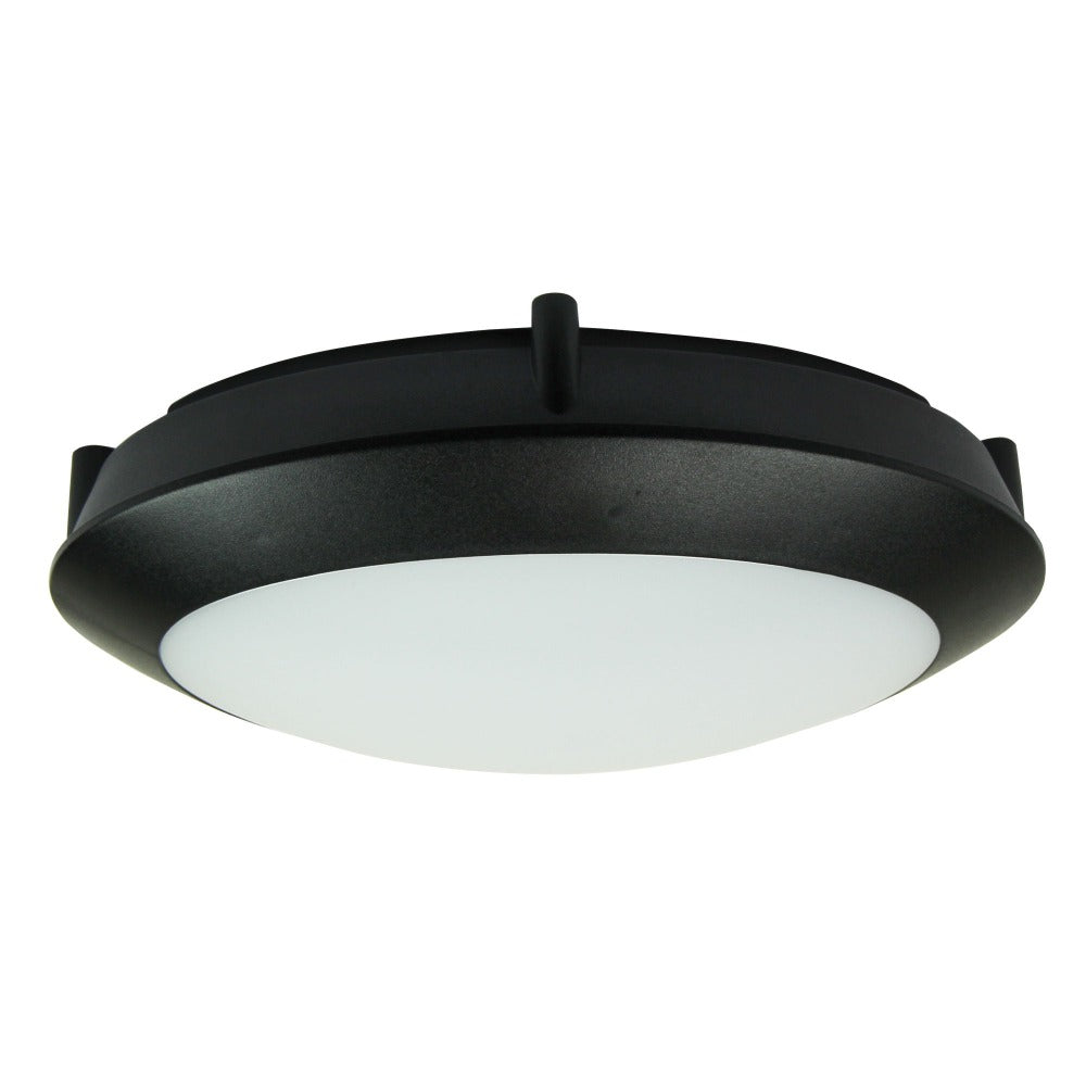 Duro LED Oyster Outdoor Wall Light (Available in 2 Colors)