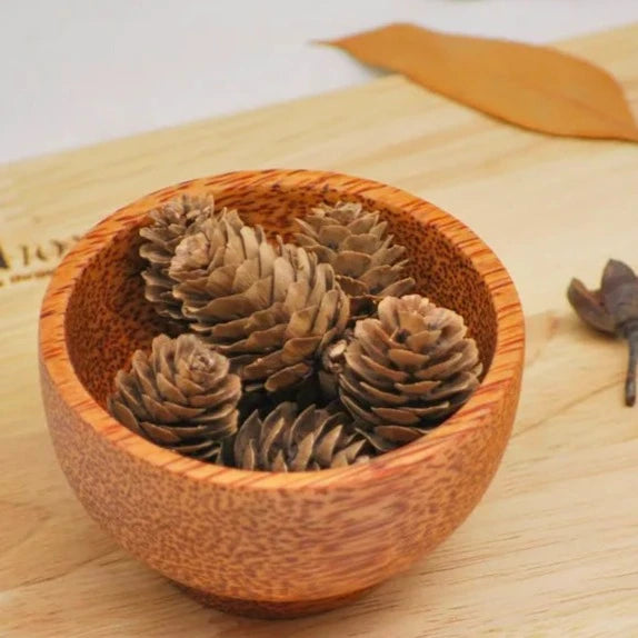 Eco Harvest Coconut Wood Bowl