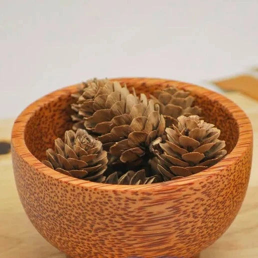 Eco Harvest Coconut Wood Bowl