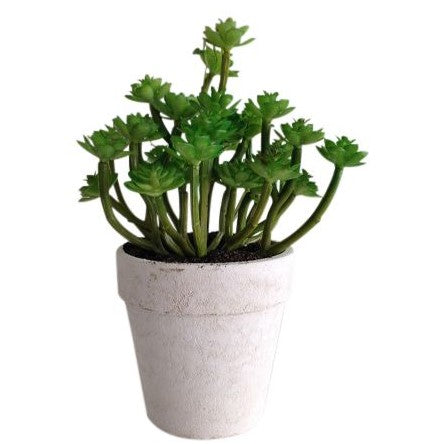 Endless Artificial Succulent Plant in Pot