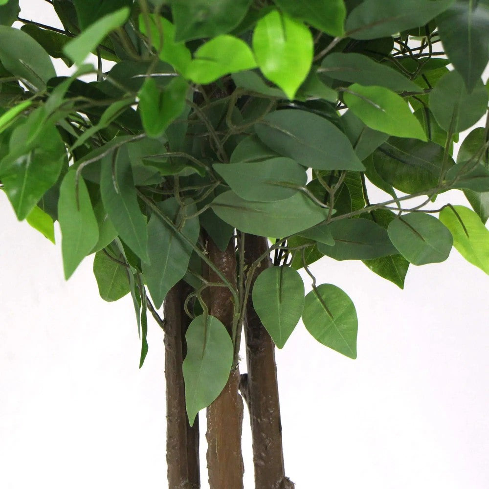 Fantasy Artificial Ficus Tree 180cms