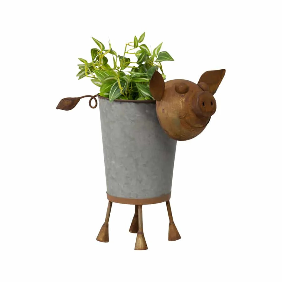 Farmyard Rusty Pig Planter with Galvanized Pot