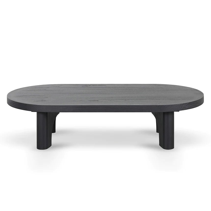 Gallery-Worthy Coffee Table 66cms