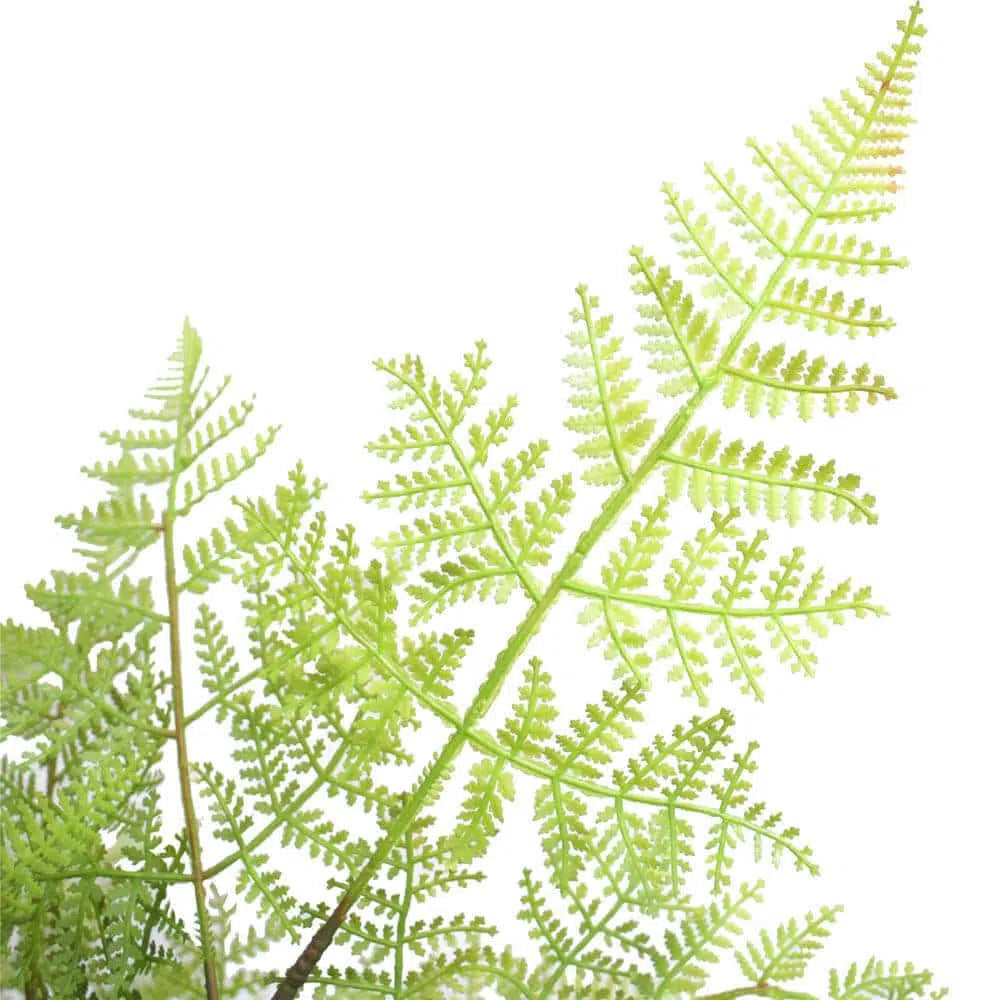 Greenery Faux Natural Fern Tree 90cms