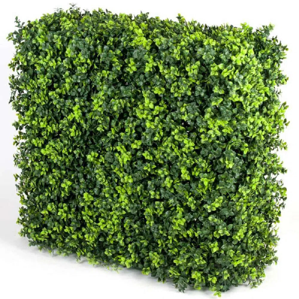 Greenery Portable UV Resistant Elm Hedge 75 X 75cms