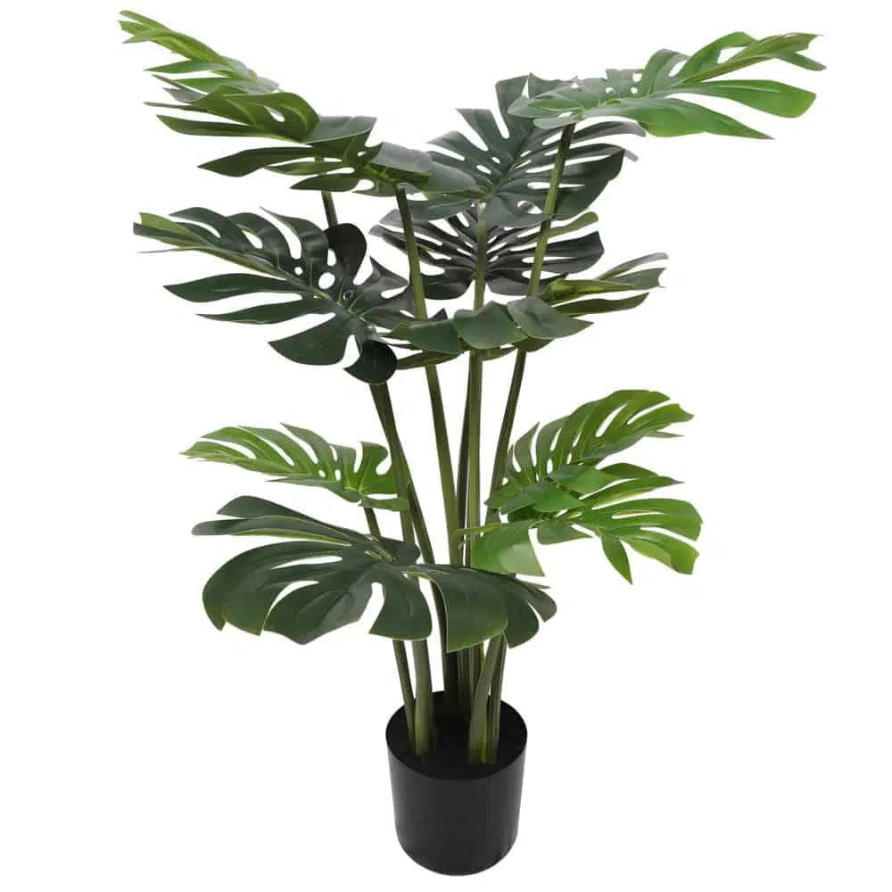 Greenery Split Philodendron Monstera Deliciosa 120cm