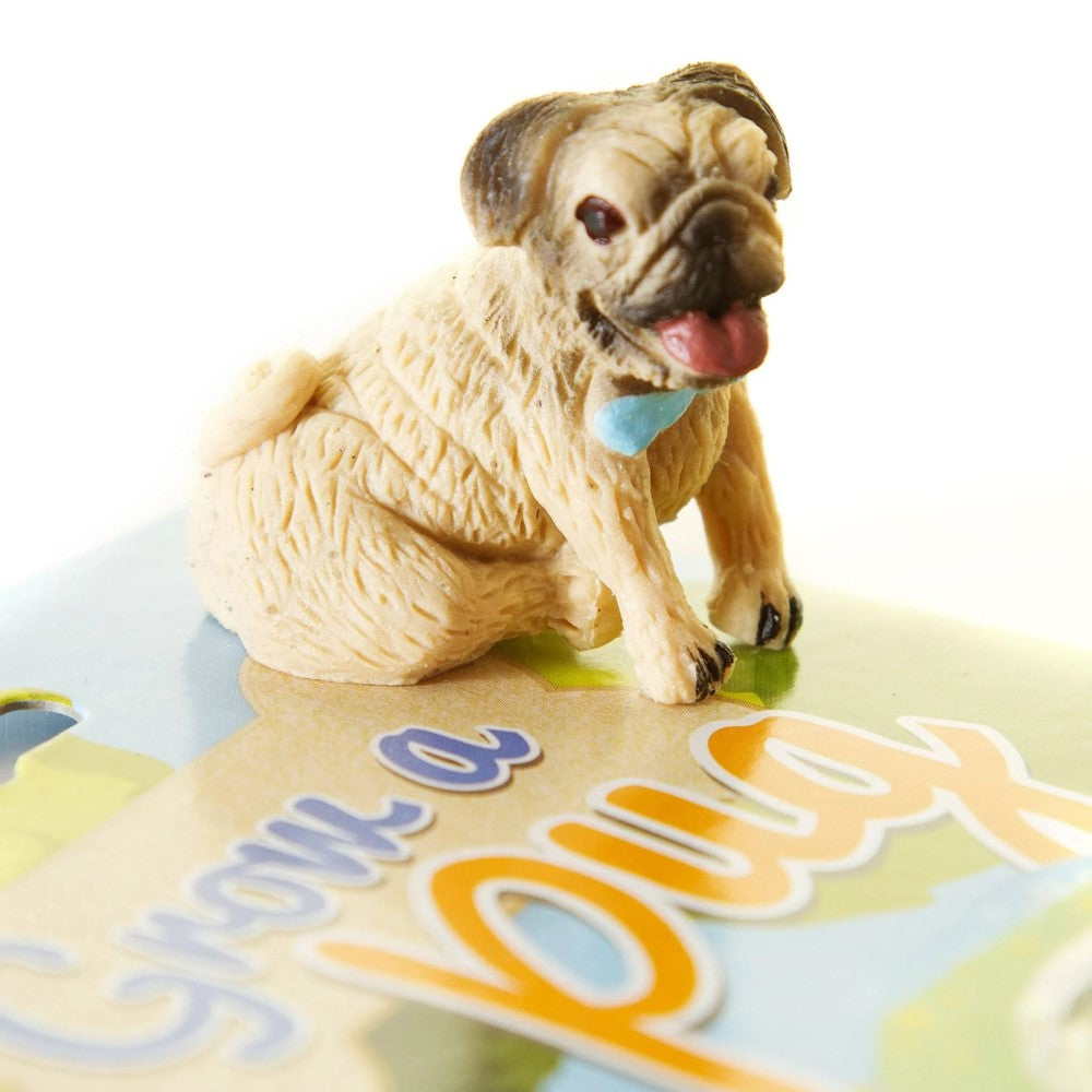 Grow Your Own Pug