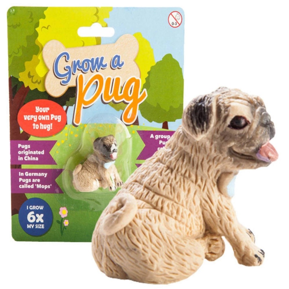 Grow Your Own Pug