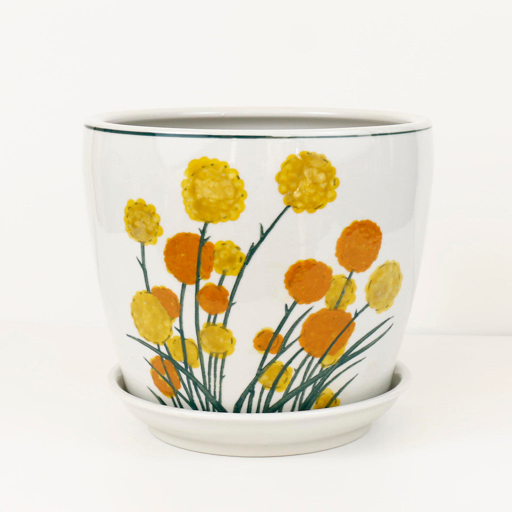 Hand Painted Billy Buttons Design Ceramic Planters - Set of 4