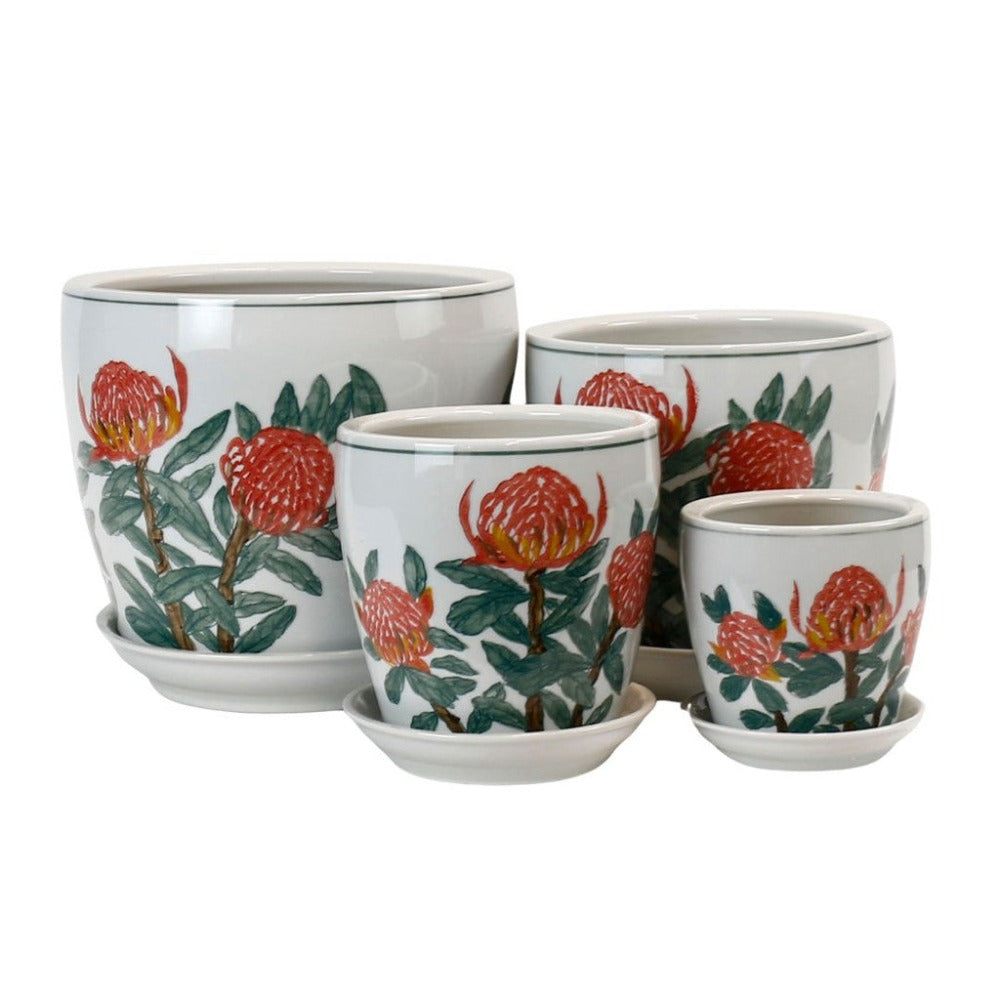 Hand Painted Waratah Ceramic Planters - Set of 4