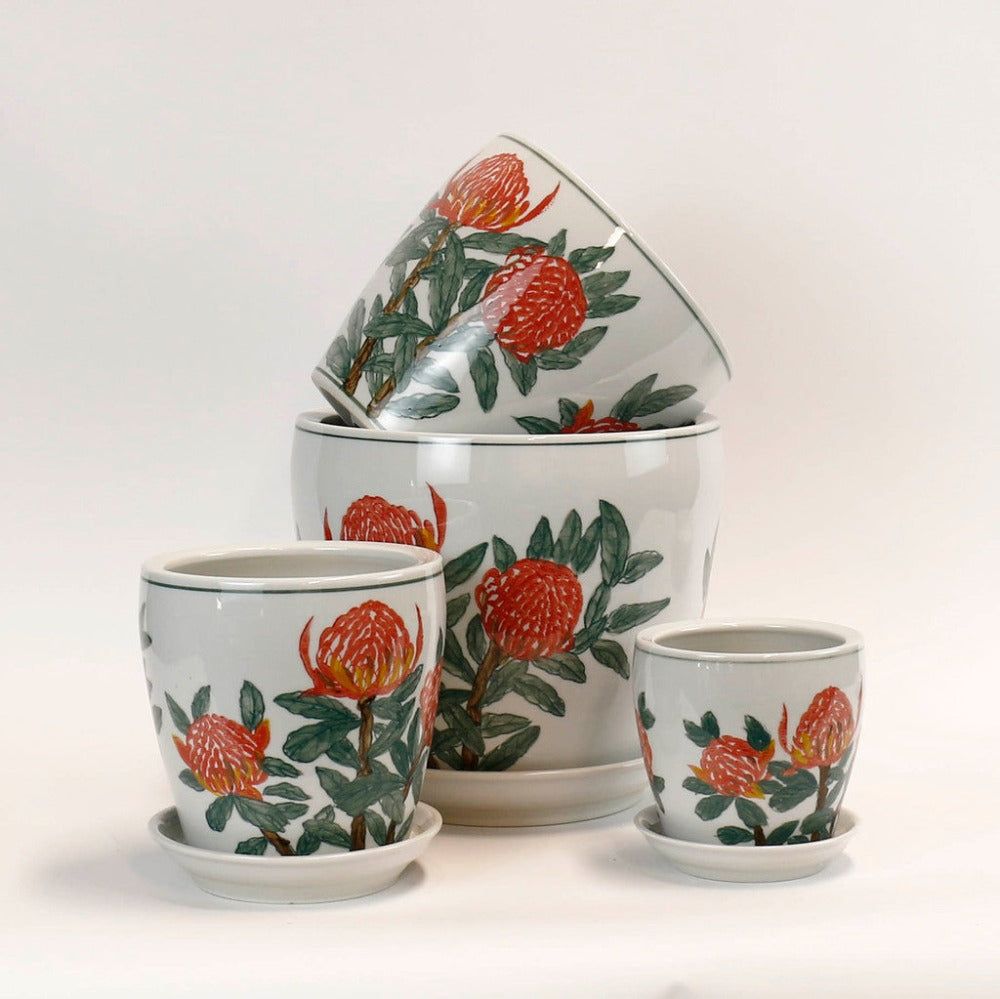 Hand Painted Waratah Ceramic Planters - Set of 4