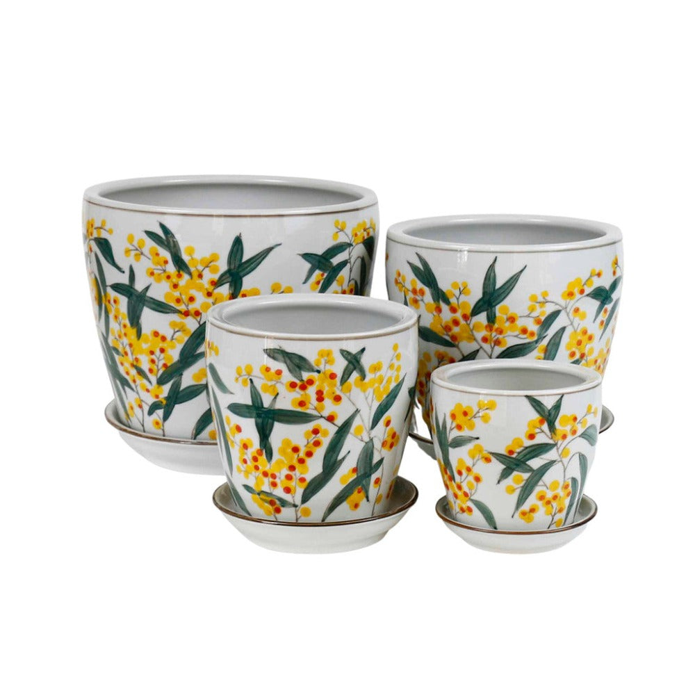 Hand Painted Wattle Design Ceramic Planters - Set of 4