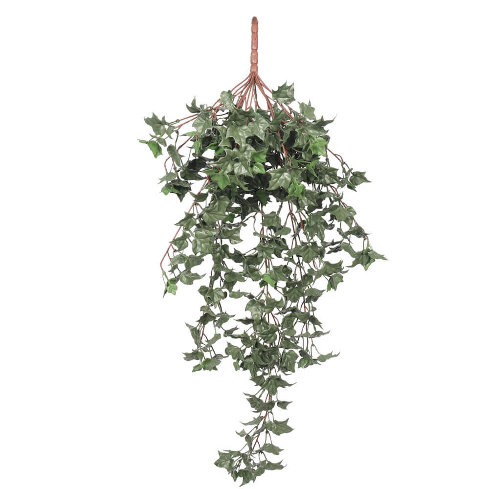 Hanging English UV Resistant Ivy Bush 80cms