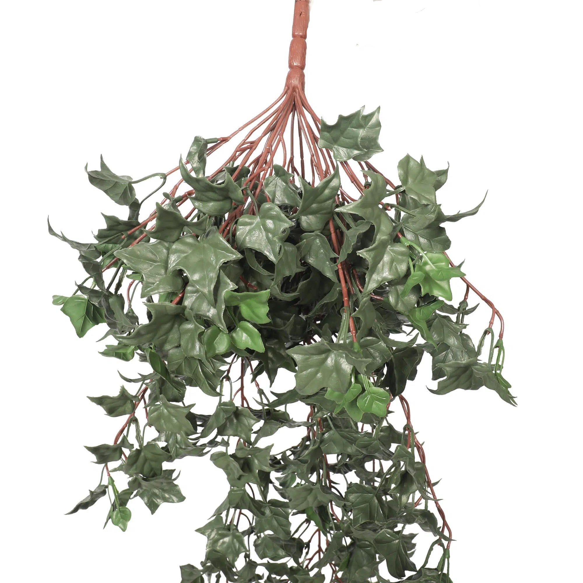 Hanging English UV Resistant Ivy Bush 80cms