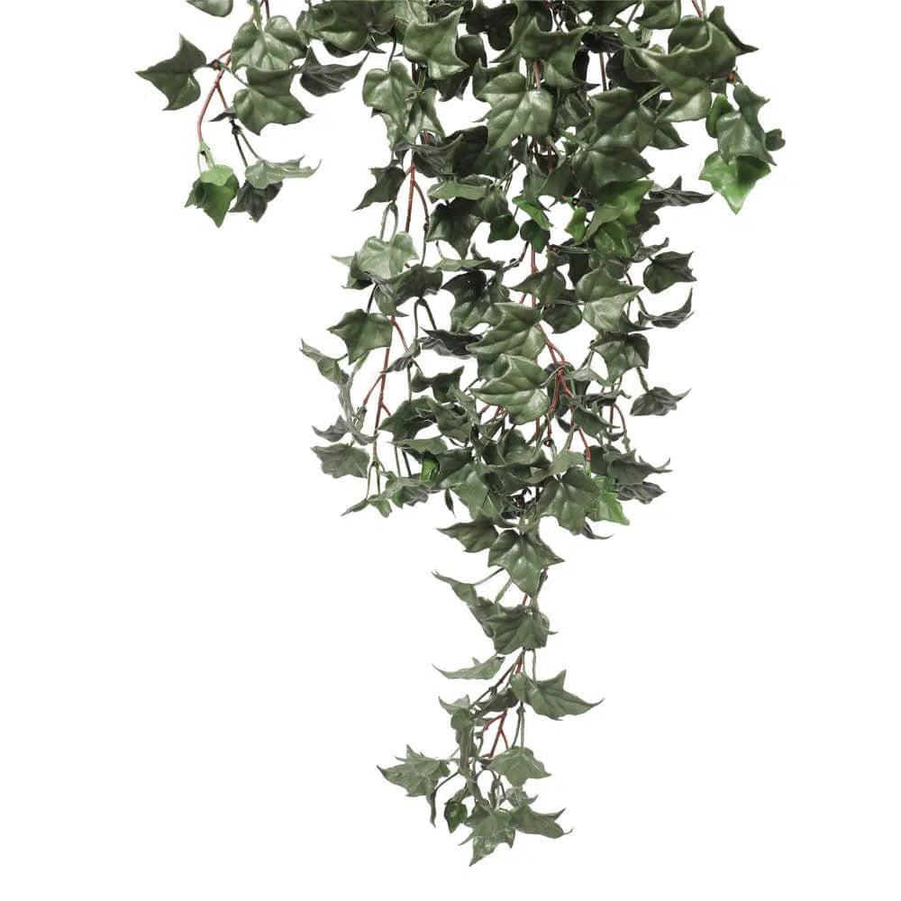 Hanging English UV Resistant Ivy Bush 80cms