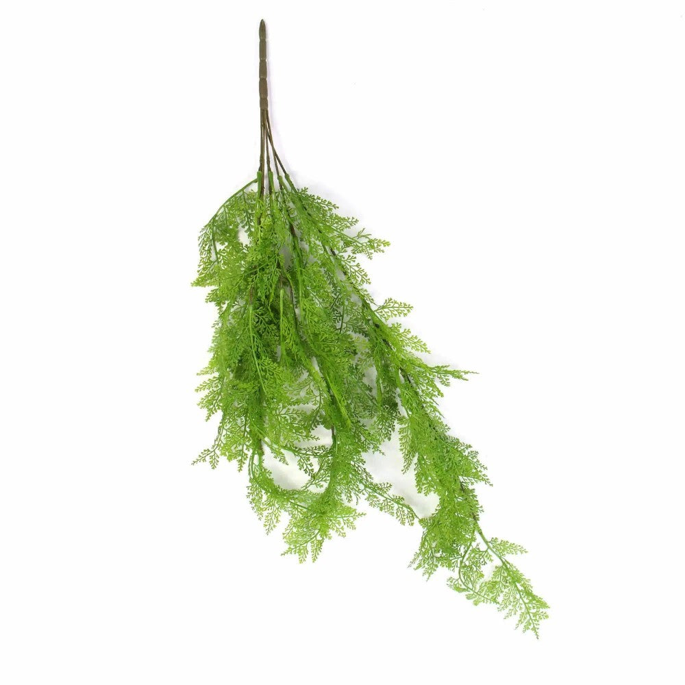 Hanging Fresh Green Maiden Hair Fern 80cms