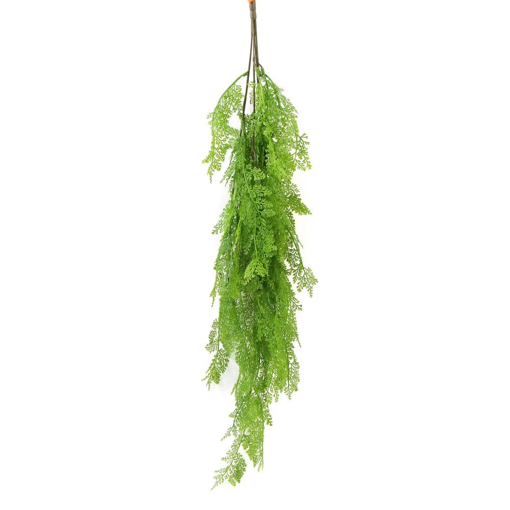 Hanging Fresh Green Maiden Hair Fern 80cms