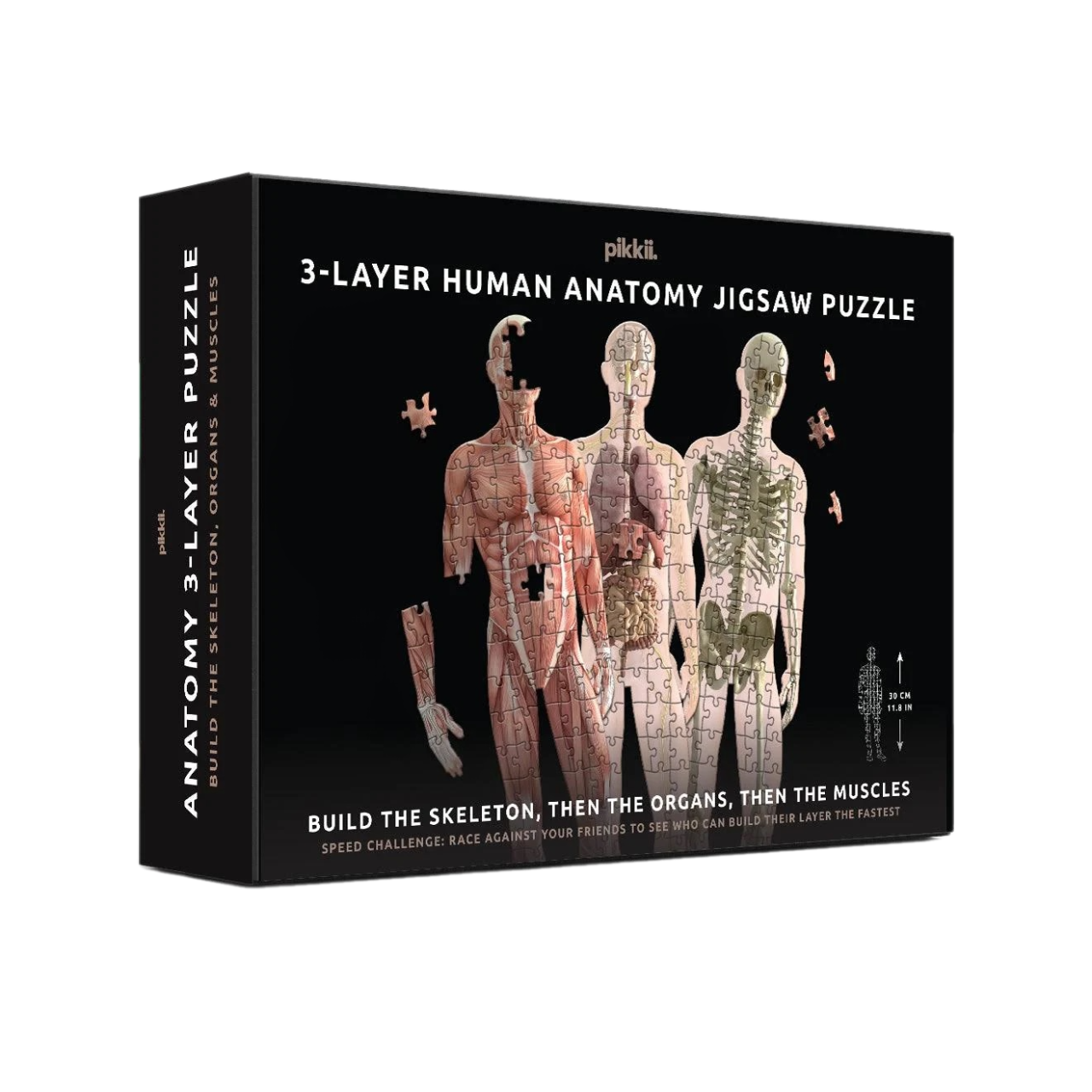 Human Anatomy 3 Layer 303 Pieces Jigsaw Puzzle