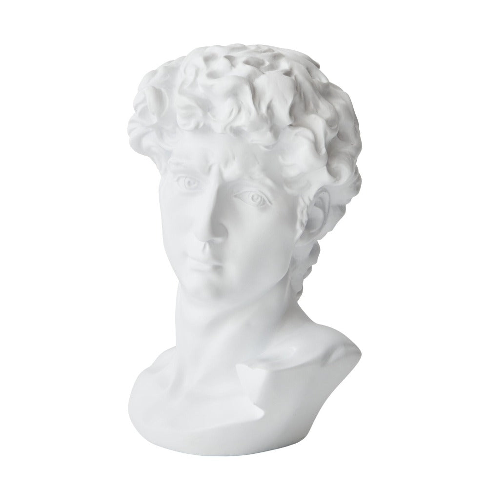 Iconic Michelangelo's David Bust