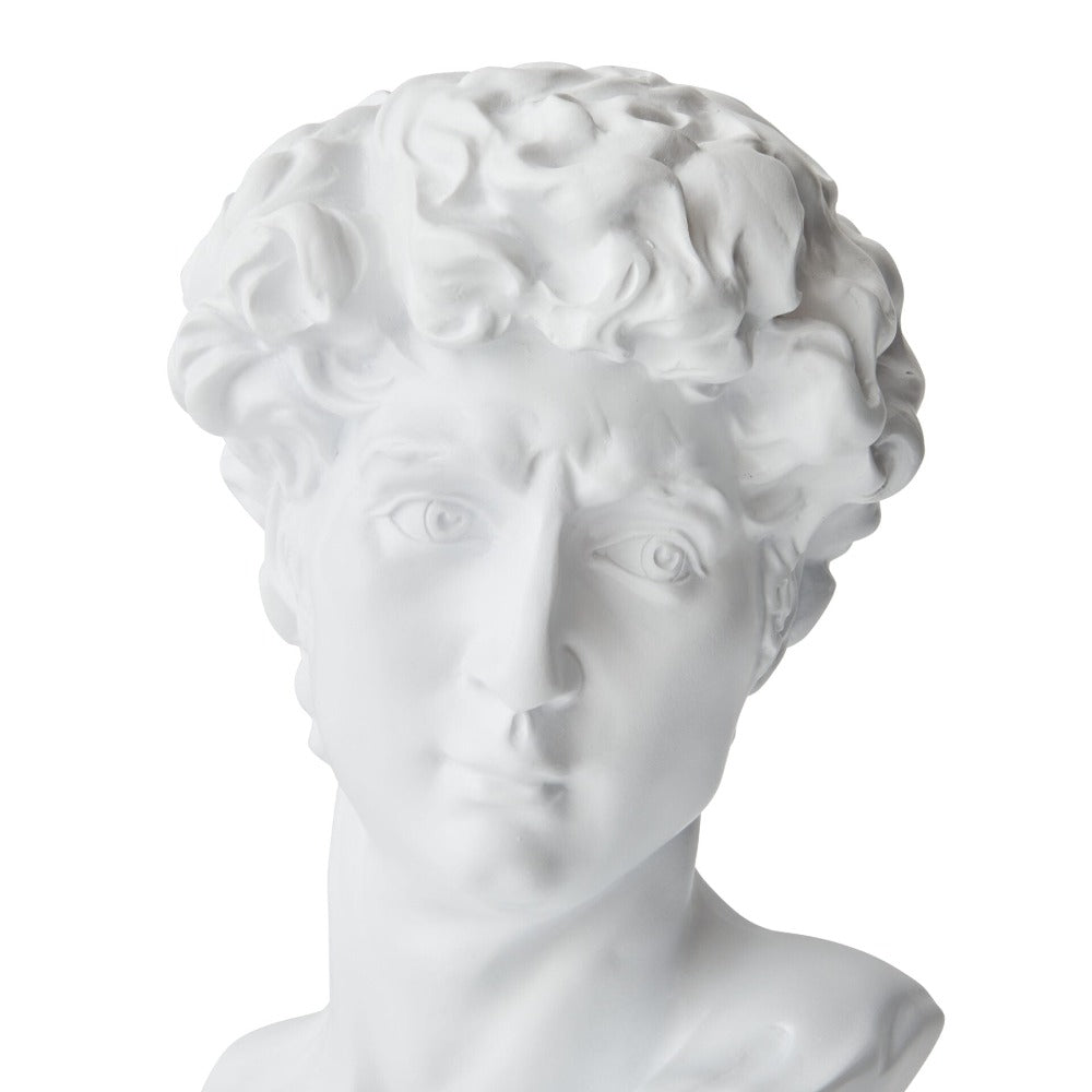 Iconic Michelangelo's David Bust