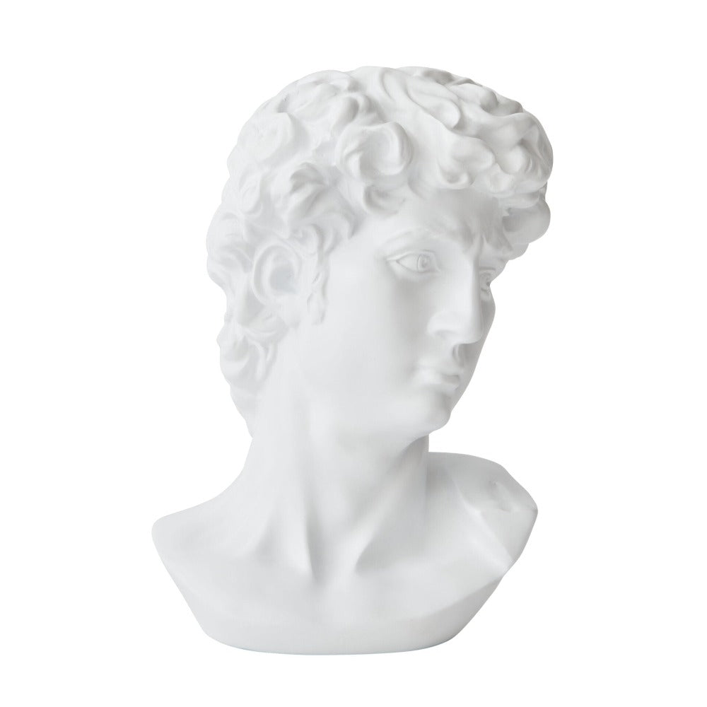 Iconic Michelangelo's David Bust