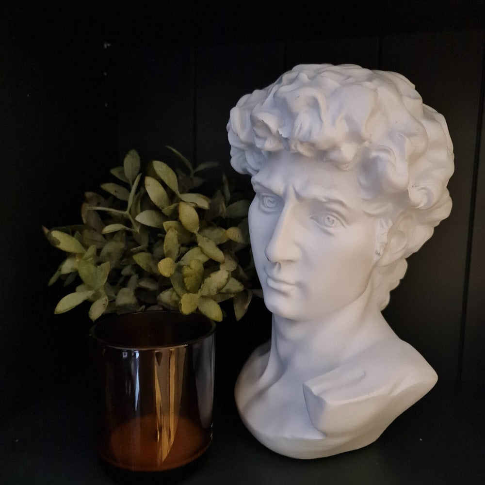 Iconic Michelangelo's David Bust