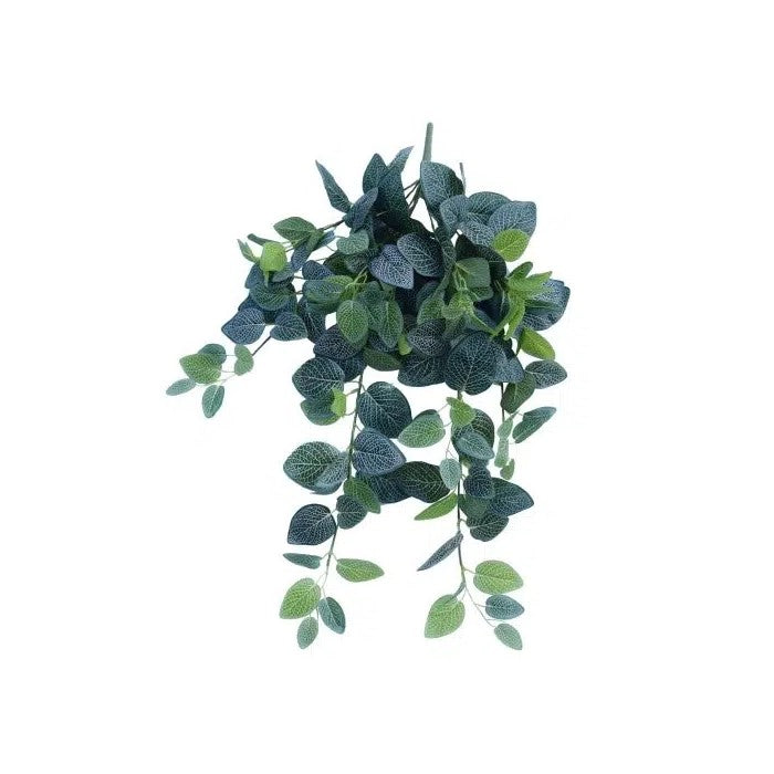 Infuse Artificial Fittonia Hanging Garland Bush 80cms