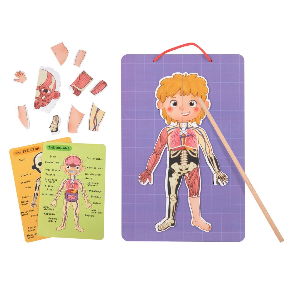 Kids Magnetic Body Chart Educational Set