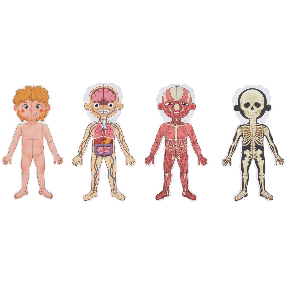 Kids Magnetic Body Chart Educational Set