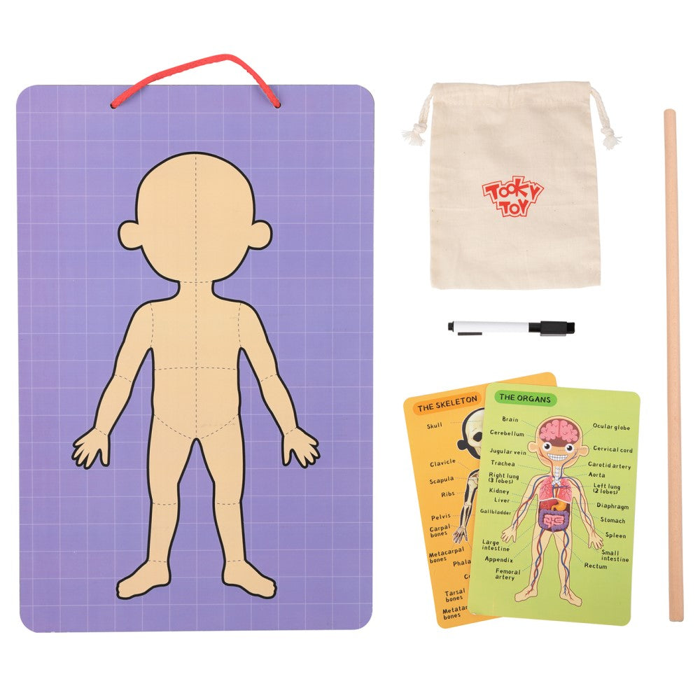 Kids Magnetic Body Chart Educational Set