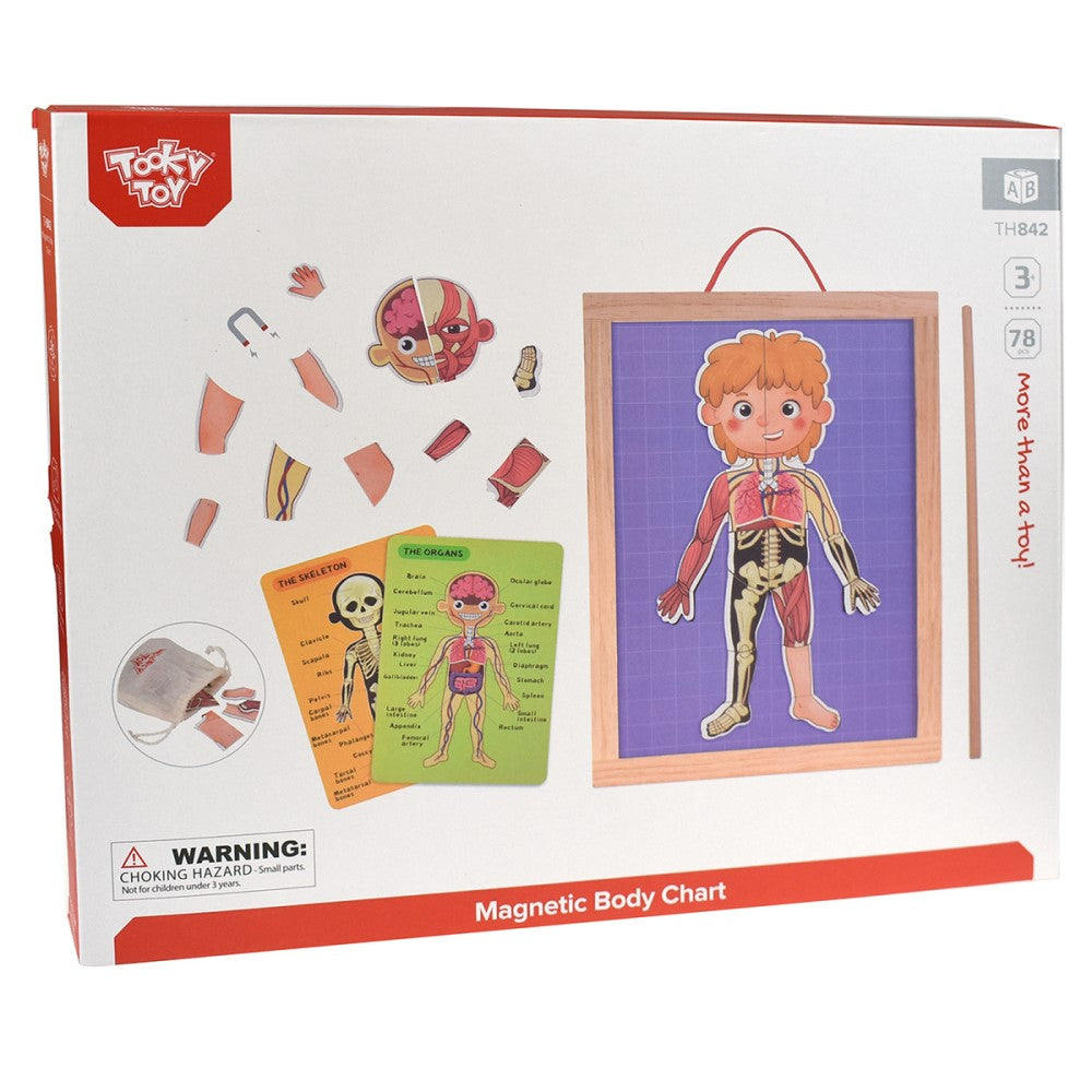 Kids Magnetic Body Chart Educational Set