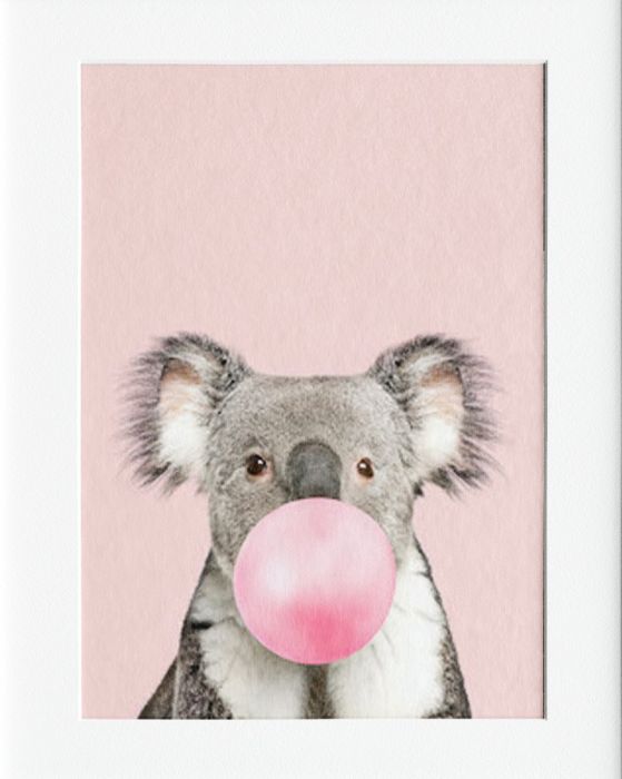 Koala Bubble Mounted Print Wall Decor - 40x50cms