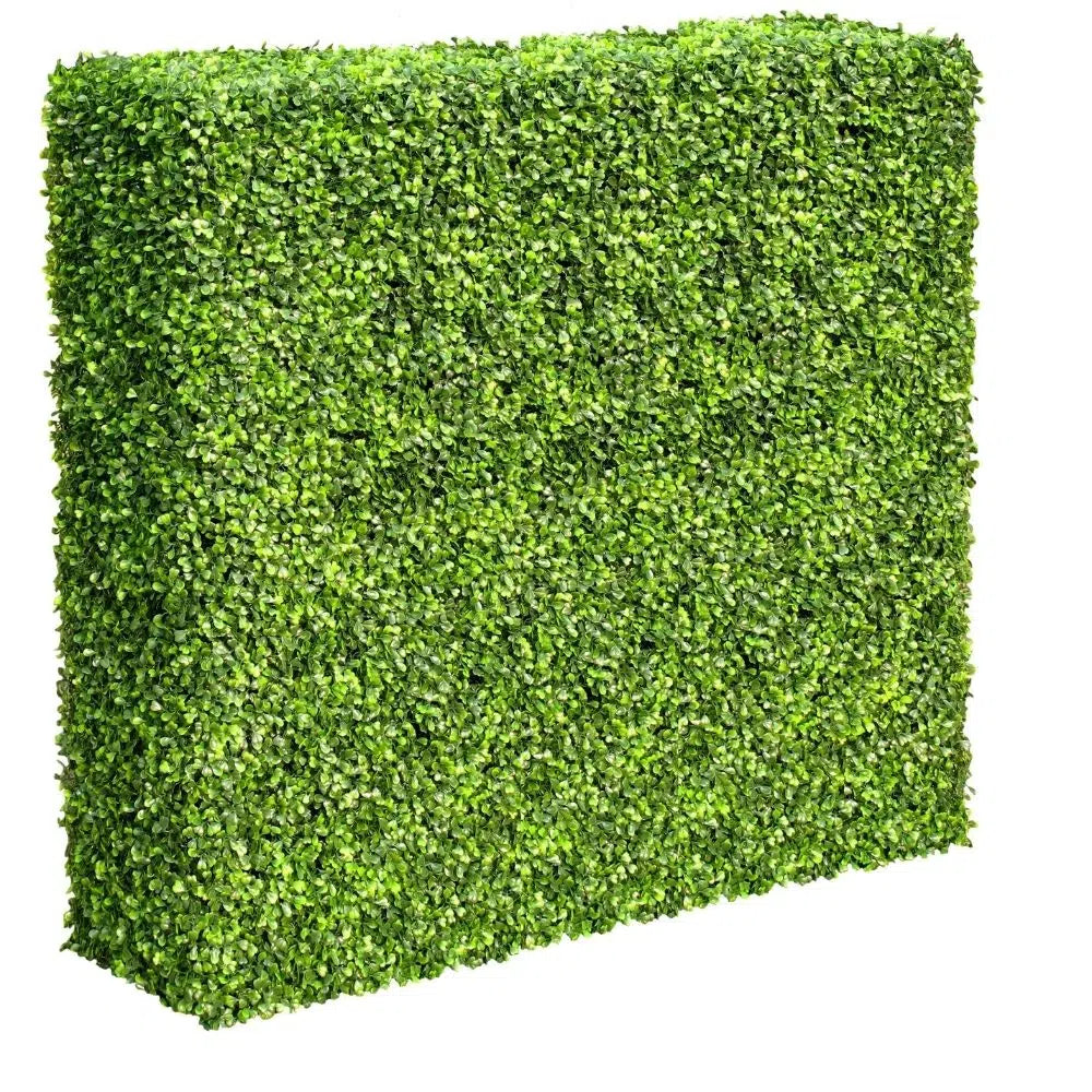 Large Portable Mixed Boxwood Hedge 150 X 150cms