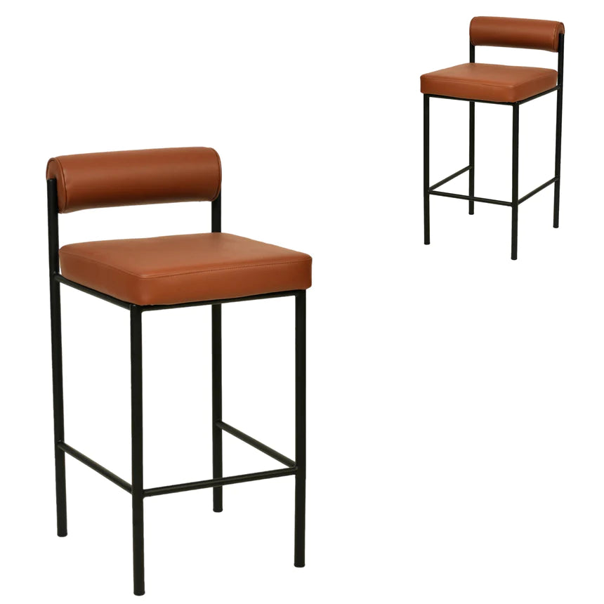 Leather Beauty Bar Chair Stool - Brown (Set of 2)