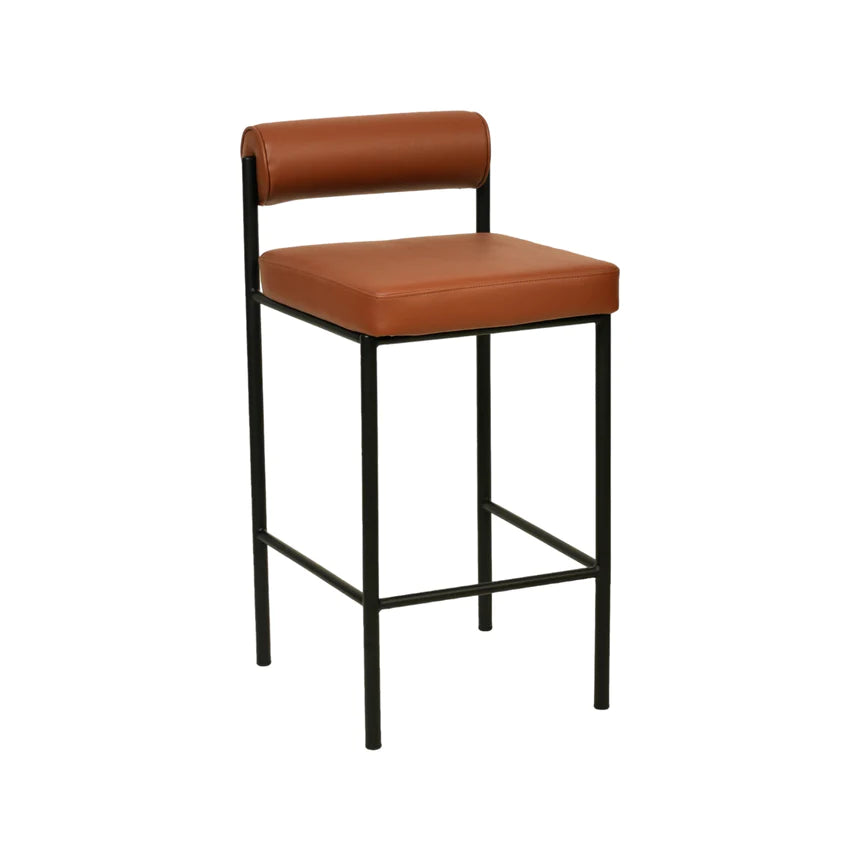 Leather Beauty Bar Chair Stool - Brown (Set of 2)