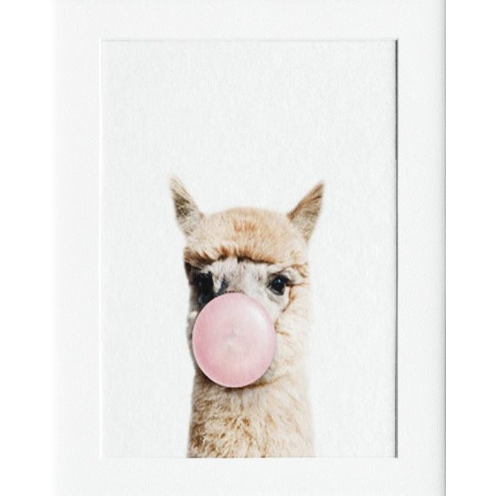 Llama Bubble Mounted Print Wall Decor - 40x50cms