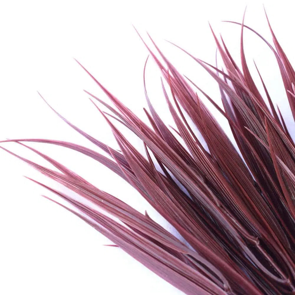 Long Dark Red Artificial Grass Stem 35cms