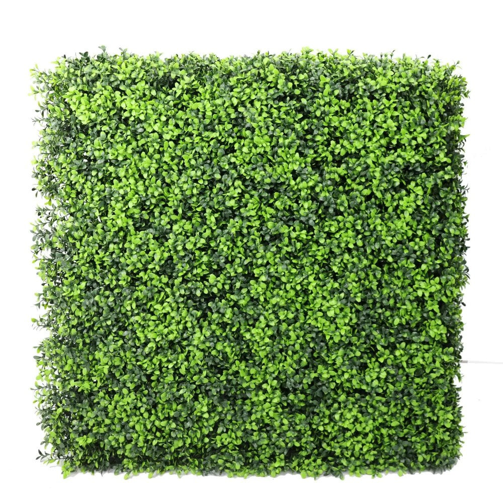 Luxury UV Resistant Deluxe Portable Buxus Hedge 75 X 75cms