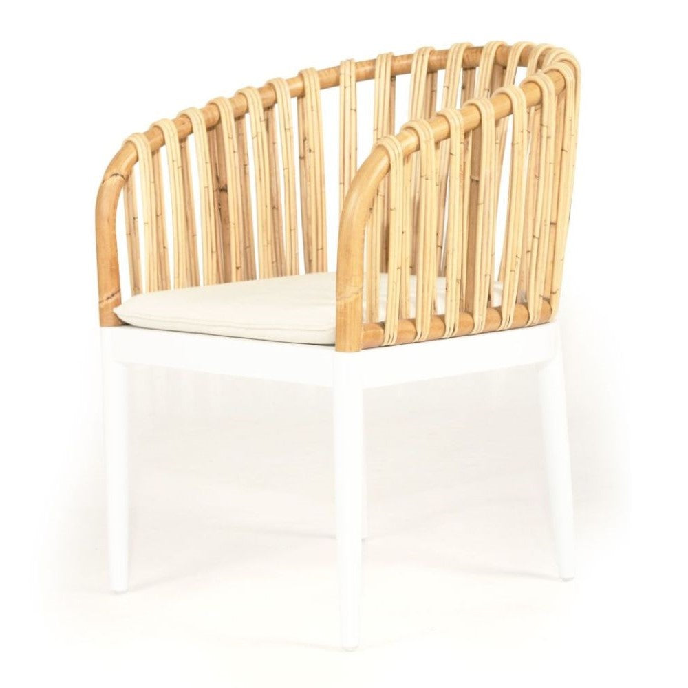 Mahogany Wood Rattan White Dining Armchair