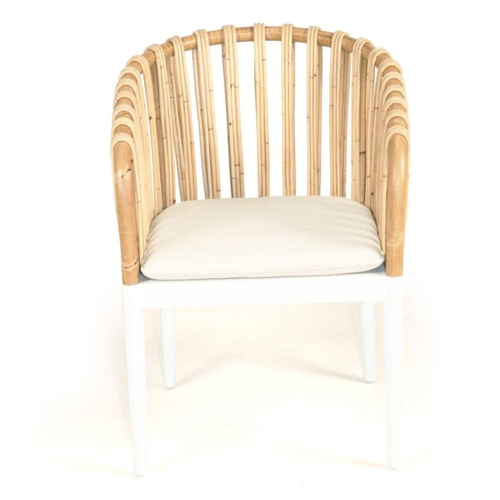 Mahogany Wood Rattan White Dining Armchair