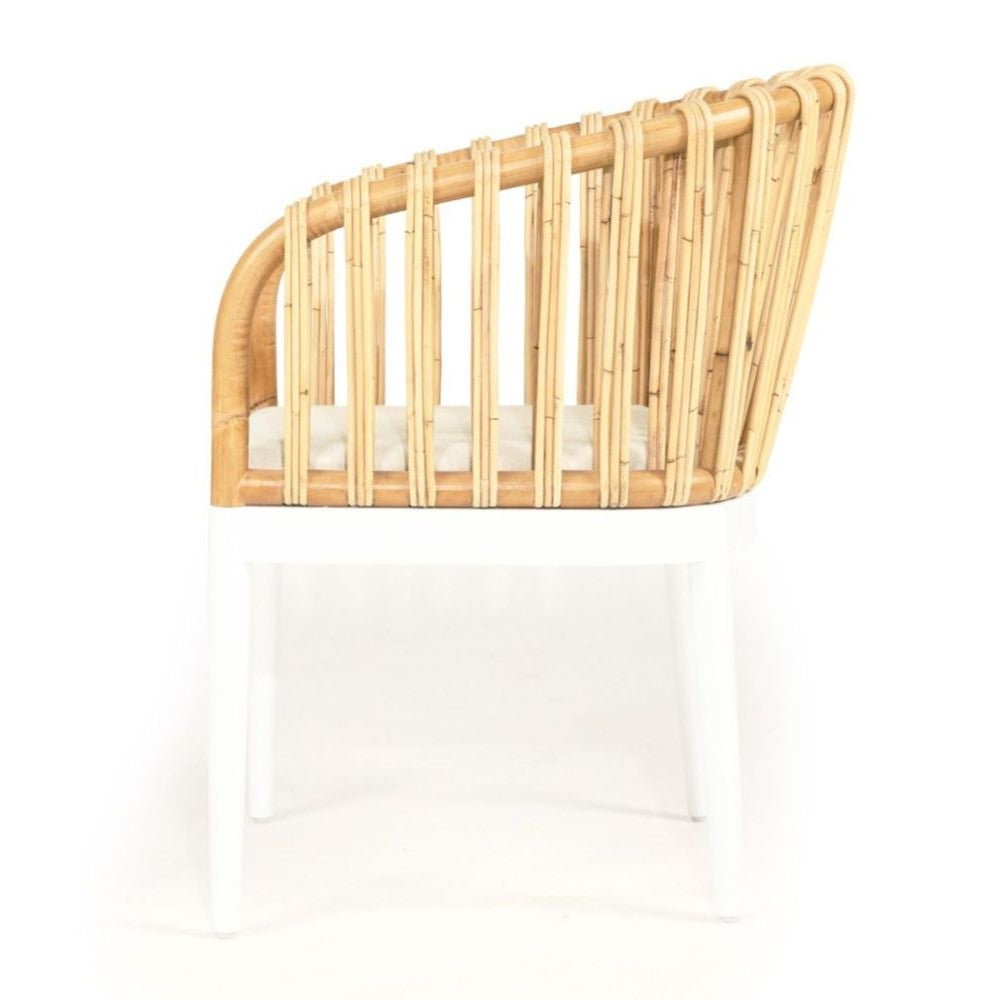 Mahogany Wood Rattan White Dining Armchair