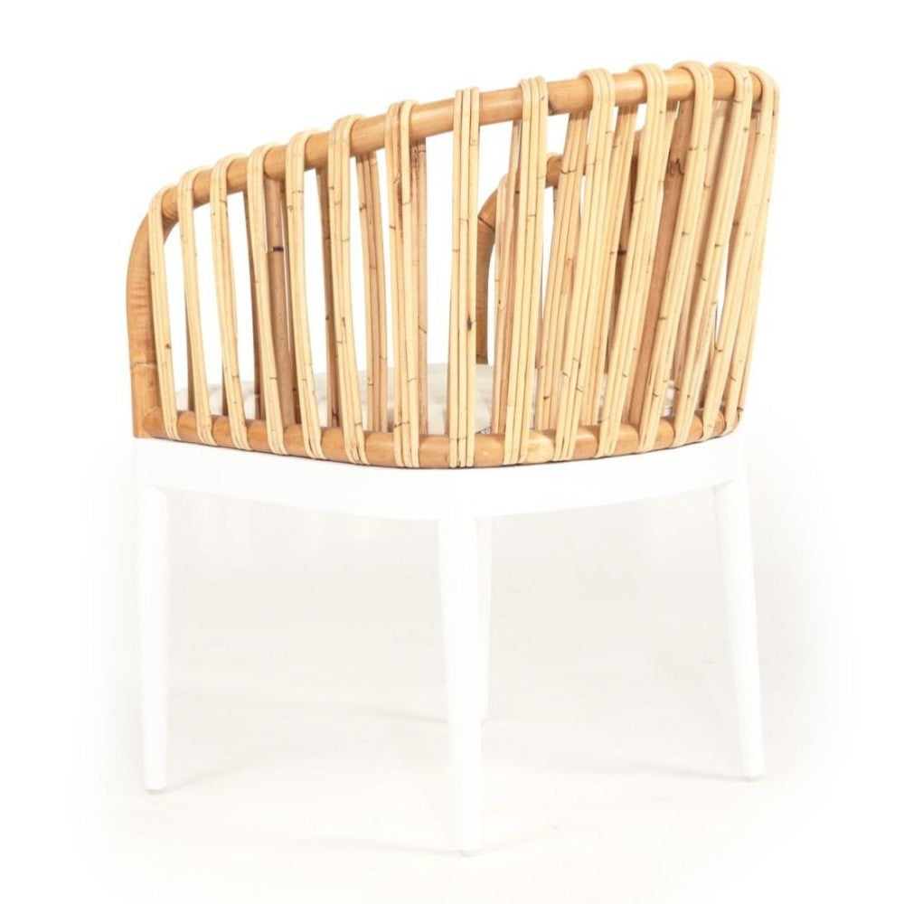 Mahogany Wood Rattan White Dining Armchair