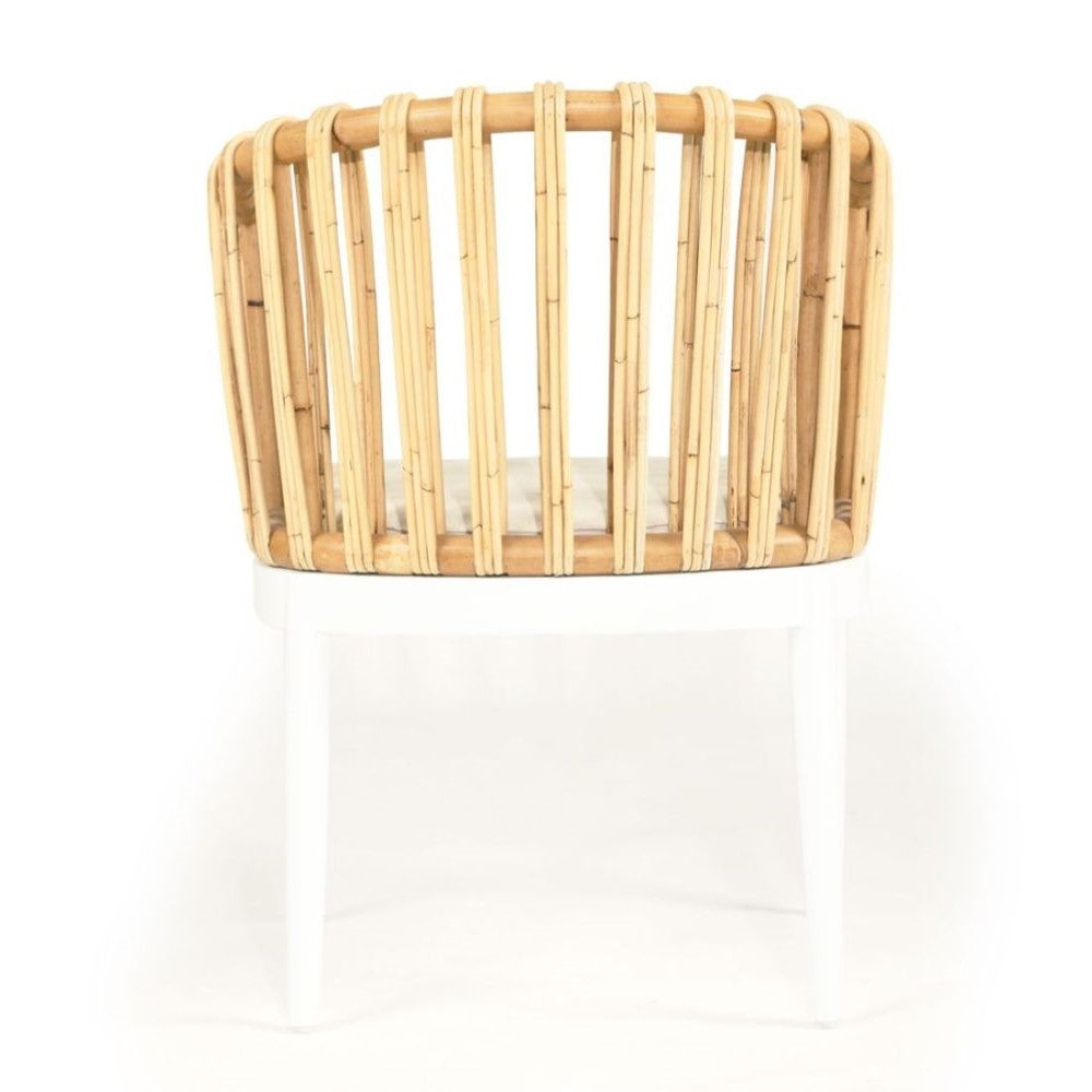 Mahogany Wood Rattan White Dining Armchair