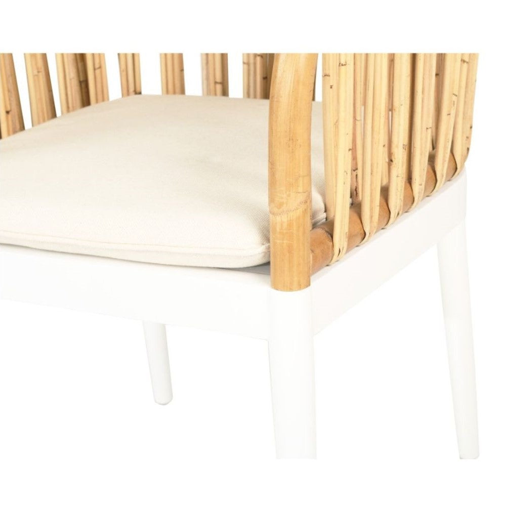 Mahogany Wood Rattan White Dining Armchair