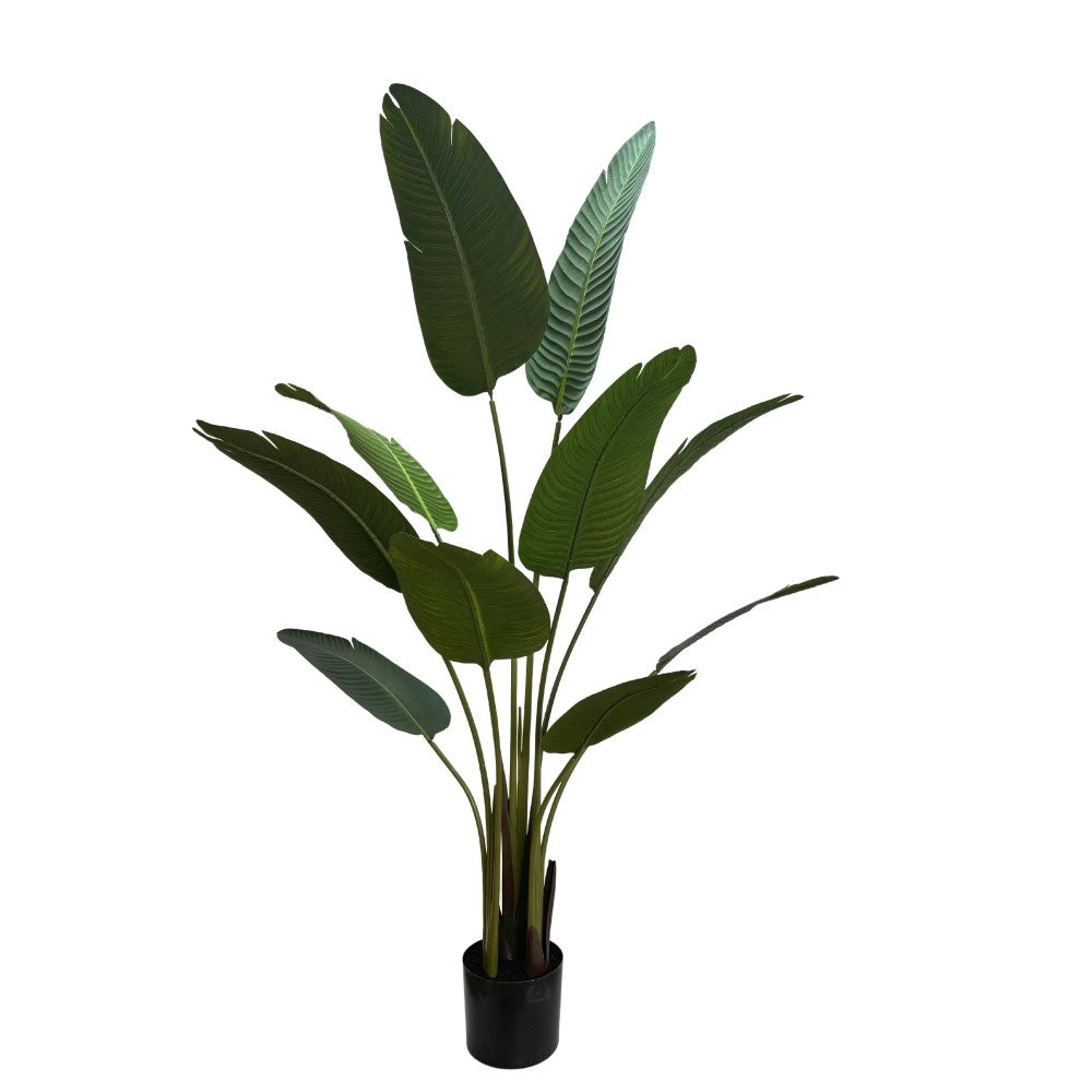 Majestic Artificial Banana Travellers Palm 160cms