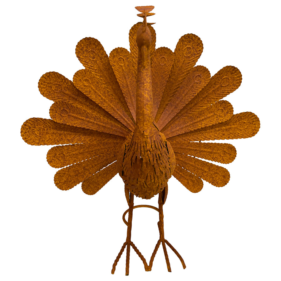 Majestic Rustic Peacock Sculpture 62.5cms