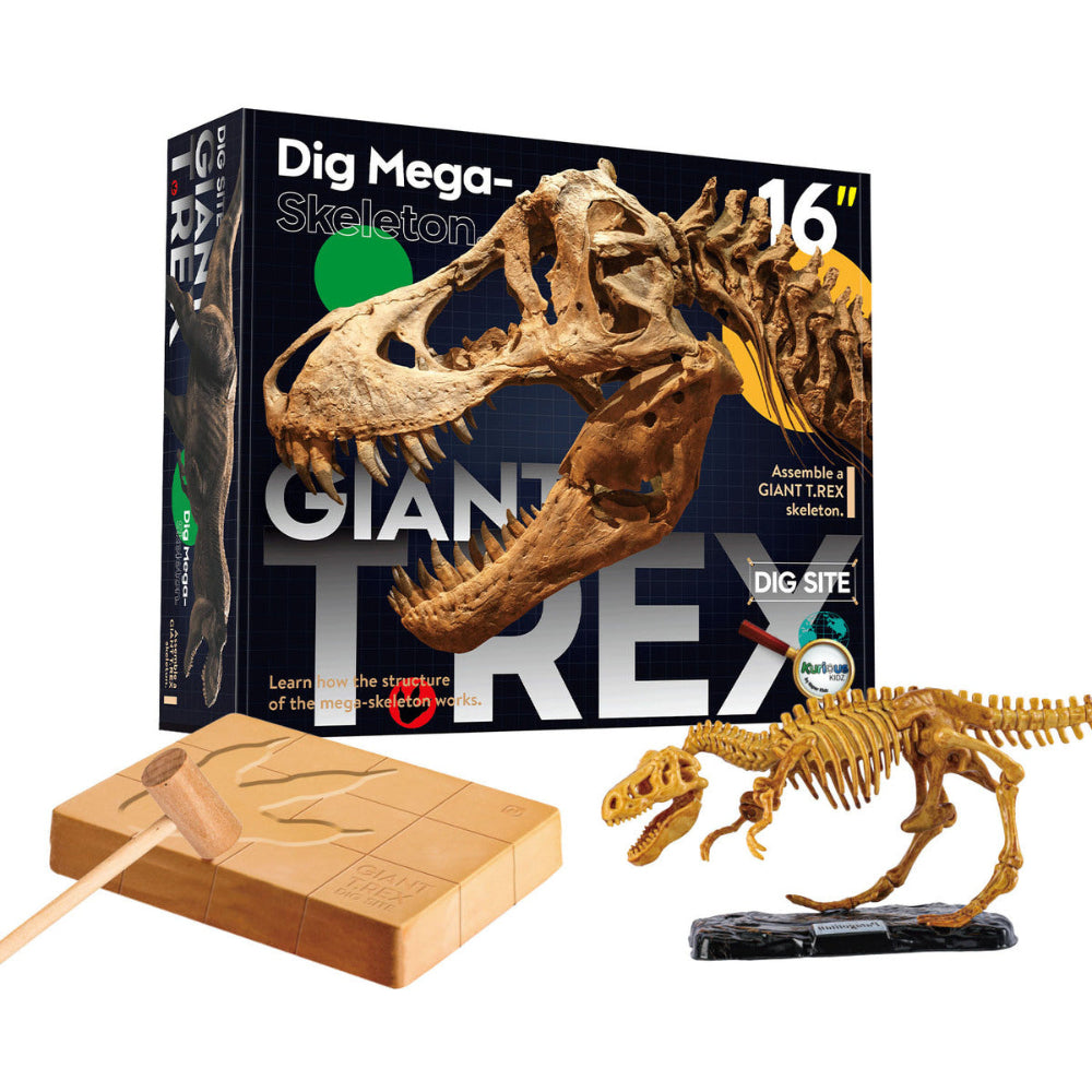 Mega T-Rex Excavation Kit - Dig, Discover, Roar