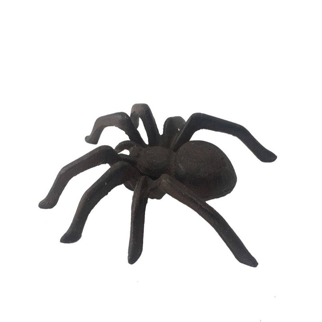 Metal Crawly Chic Spider Decor